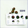 Cherry calliper