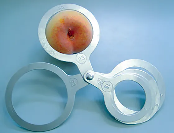 Peach callipers